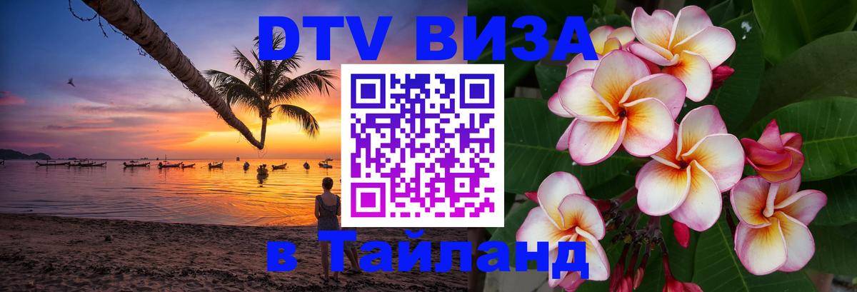 Оформление DTV визы под ключ: стоимость и тарифы, только загранпаспорт - 19.11.2025 